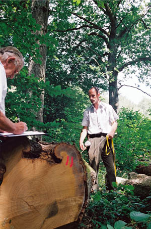 Neil Humphris at work on the Leconfield Estates at Petworth